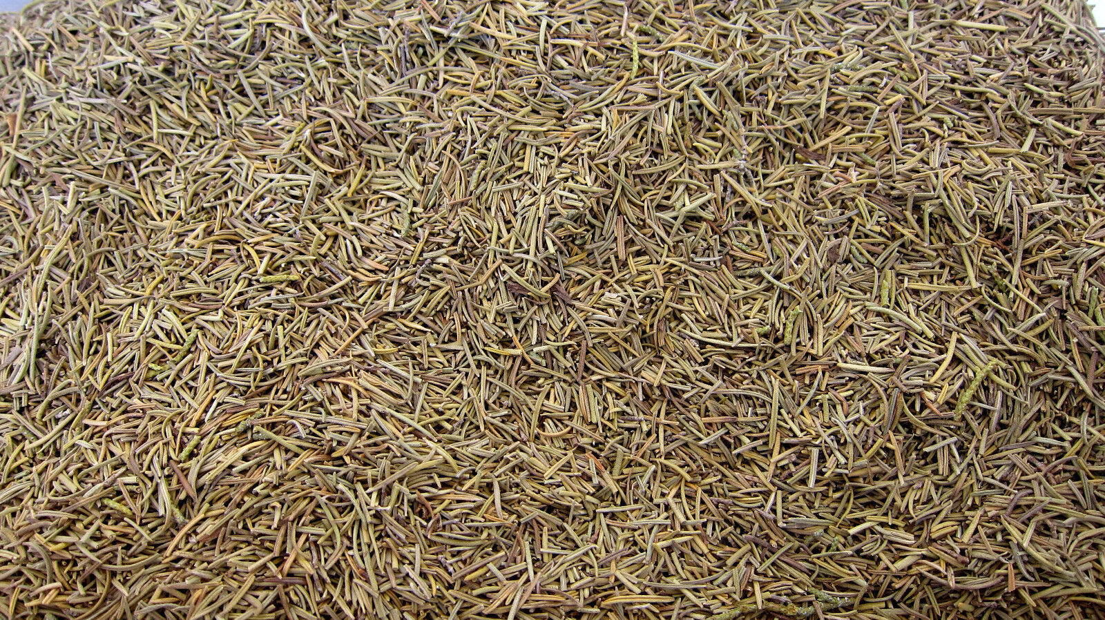 Dried Rosemary Loose Herb Tea 4oz Mojave Herbs Memory Focus Concentration - $5.04