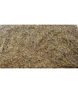 Dried Rosemary Loose Herb Tea 4oz Mojave Herbs Memory Focus Concentration - £4.65 GBP