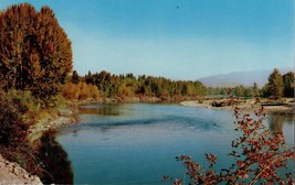 Bitterroot River, Montana * Postcard - £1.99 GBP