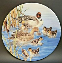 Nature&#39;s Nursery Porcelain Collector Plate Joe Thornbrugh Ducks Blue Race to Mom - £9.46 GBP