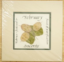 Botanical Art Language of Flowers February Sincerity Dried Press Floral Honesty - £15.26 GBP