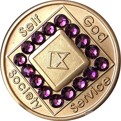 9 Year NA Medallion Bronze Purple Swarovski Crystal Chip IX