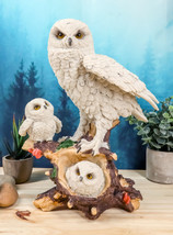 Ebros White Owl Perching On Tree Branch With Baby Owlets Statue 12&quot;Tall - £39.06 GBP