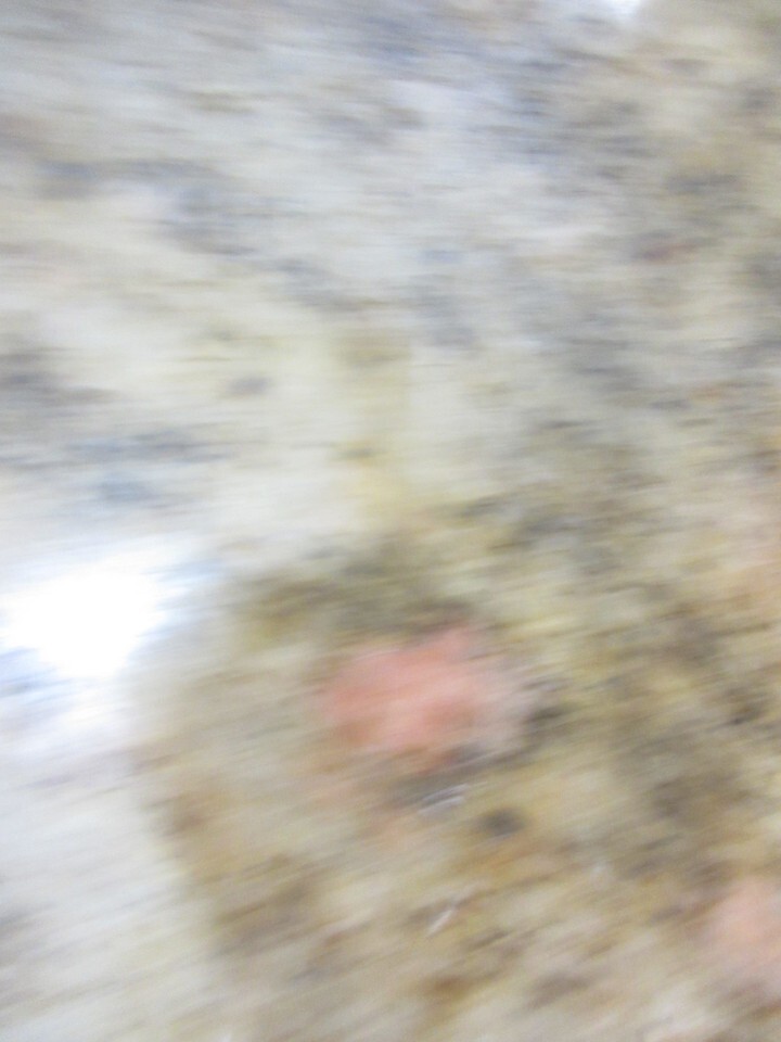 MORI SEIKI RL-253 PALLET 251025 CNC 50 - $9,699.03 MORI SEIKI RL-253 PALLET 251025 CNC 50 - $9,699.03