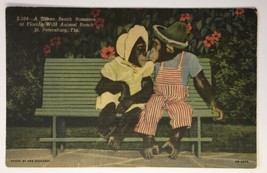 St Petersburg FL Postcard Florida Green Bench Romance Chimpanzees Kissing - £5.50 GBP