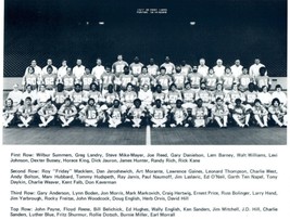 1977 DETROIT LIONS 8X10 TEAM PHOTO FOOTBALL NFL PICTURE - $4.94