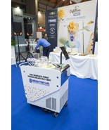 Gelato Mobile Battery Cart Gelato Cart Gelato Machine Cart Gelato Batter... - €13.355,80 EUR