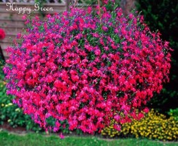 Red Lobelia Cascade 100 USA Garden - $9.38