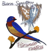 Nature Weaved in Threads, Amazing Birds Kingdom [Barn Swallow and Sketch] [Custo - $19.30