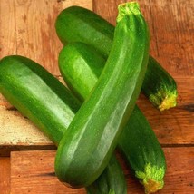 20 Fresh Dark Green Zucchini Summer Premium Nongmo Squash Seedsb 23 From US  - $8.35