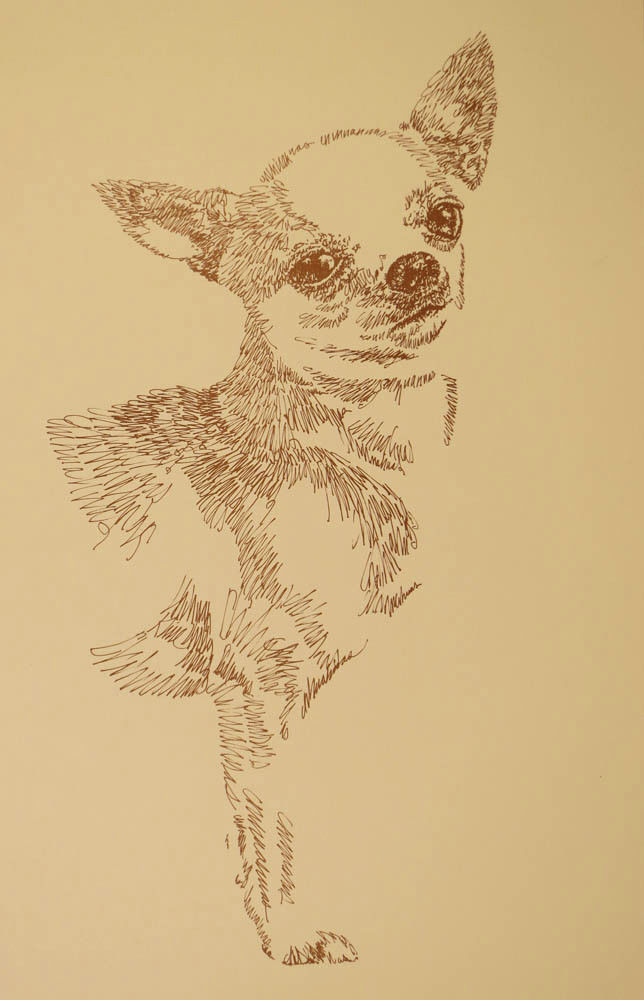 Chihuahua dog art portrait drawing PRINT 48 Kline adds dogs name free GREAT GIFT