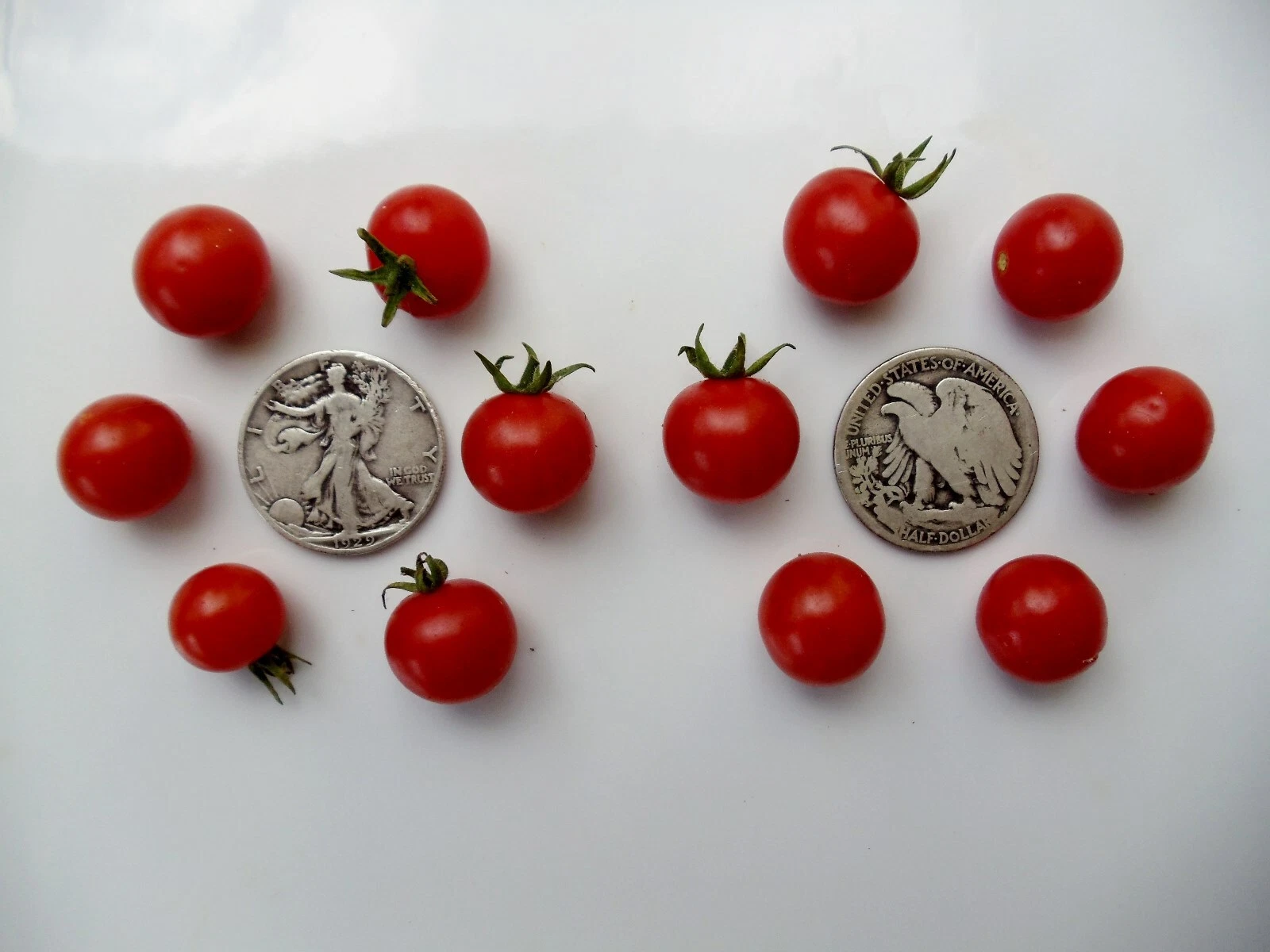Wild Sweetie - Super sweet  Great in Salads - $8.34