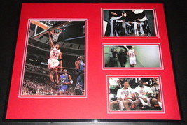 Scottie Pippen 1995 Chicago Bulls Framed 16x20 Photo Collage - £62.14 GBP