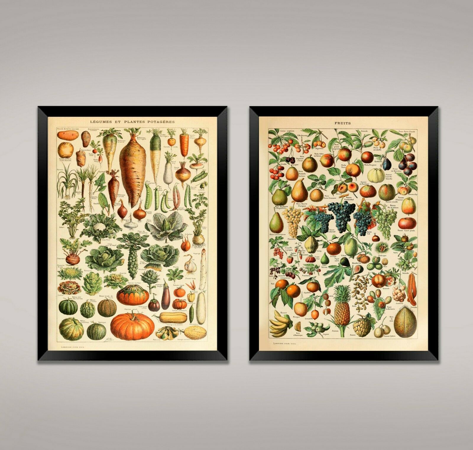 FRUIT AND VEGETABLE PRINTS: Vintage Millot Food Category Posters