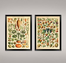 Fruit And Vegetable Prints: Vintage Millot Food Category Posters - £5.35 GBP+