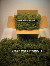 Preserved Moss 30 sq.ft. moss filler moss centerpieces moss decor moss d... - $165.02
