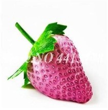 300PCS Pink Strawberry Hybrid Seeds Giant Juicy Potted Fruit - $5.68