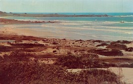 Asilomar Dunes And BEACH-DEL Monte Forest California Postcard - £6.35 GBP