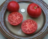 50 Burgundy Tomato Seeds Heirloom Fast Shipping - $8.99