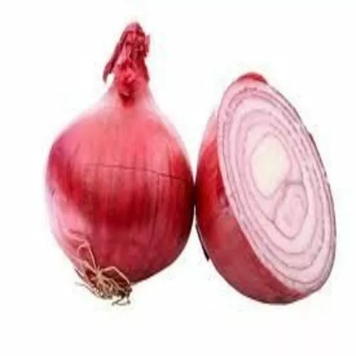 Fresh Seeds Onion Red Burgundy Great Vegetable 200 Seeds - £9.04 GBP