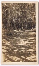 British Columbia BC Postcard Vancouver Lovers Lane Stanley Park 1910 - $19.79