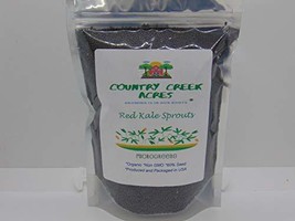 16 oz Red Kale Seeds for Microgreens - £23.32 GBP