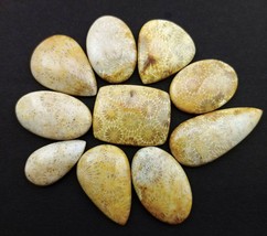 Natural Fossil gemstone Cabochon - Fossil cabs Jewelry - Fossil cabochon - £31.41 GBP