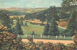 Linen Postcard B376 NM Taos Canyon from Palo Flechado Pass Sangre de Cristo Hwy - £5.34 GBP