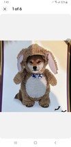Bunny Rabbit Bear Walking Front Moonlight Manor Suit Dog Costume Sz Large Easter - £30.83 GBP