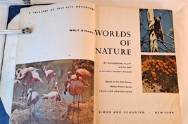 Walt Disney&#39;s Worlds of Nature by Rutherford Platt (1957 HC without Dust Jacket) - £7.45 GBP