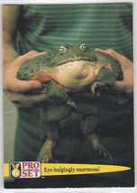 M) 1992 Pro Set Facts and Feats Guinness Trading Card #57 Marine Toad - $1.97