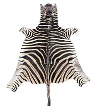 Real Zebra Skin Rug Hide # 50 Size:  8 X 6 feet Genuine Burchells Zebra ... - $1,214.94 CAD