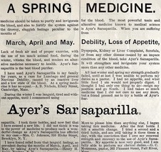 Ayers Sarsaparilla Spring Meds 1885 Advertisement Victorian Quack Medici... - $19.99