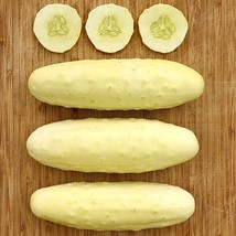BEST 25 Seeds Easy To Grow Silver Slicer Cucumber Hybrid Vegetable Pickling - $10.00