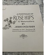 A Portfolio Of Rose Hips  9 Watercolors By Jessie-Chizu Baer 1980 - $49.43 CAD
