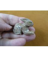 (y-BUN-31) tan white gray BUNNY RABBIT SOAPSTONE FIGURINE I love rabbits... - $12.52 CAD