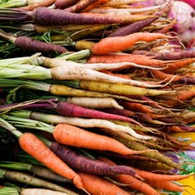 Vibrant Rainbow Carrot Seeds - 30 Pack, Multi-Colored Heirloom Mix, Perfect for  - £4.70 GBP