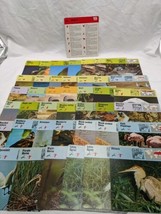Lot Of (41) 1975 Rencontre Birds II Education Cards - £38.94 GBP