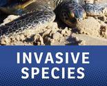 Invasive Species: What Everyone Needs to Know® [Paperback] Simberloff, D... - £3.58 GBP