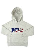 Polo Ralph Lauren Boys Grey Chenille USA Logo Hoodie Sweater,  6 9411-4 - £43.21 GBP