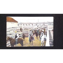 Union Stock Yards Chicago Illinois Cattle Run Pens Horses Vintage Postcard - £3.10 GBP