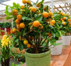 615d348bbe5932f2 thumb200