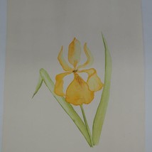 Watercolor Painting Yellow Iris Still Life - £47.51 GBP