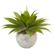 Agave in Sand Colored Bowl - £122.31 GBP