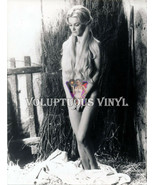 Barbara Bouchet Photograph From 1972 Film Una cavalla tutta nuda [A Nake... - £63.79 GBP