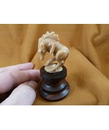 (tb-horse-5) rearing wild Horse Tagua NUT palm figurine Bali carving lov... - £38.51 GBP