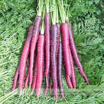 Best SELLER USA 100 Seeds New Imperator Shaped Red Purple Carrot - £7.09 GBP