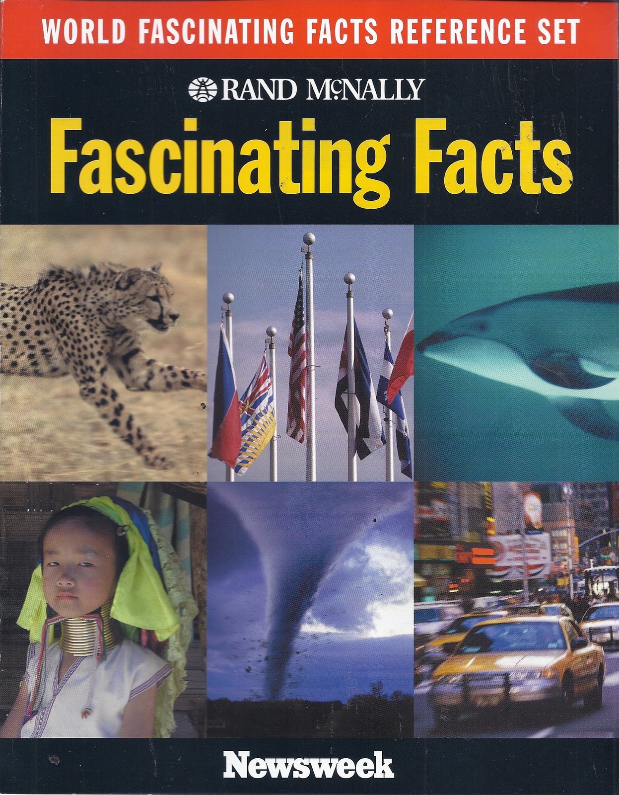 Rand McNally Fascinating Facts (World Fascinating Facts Reference Set) [... - $6.35
