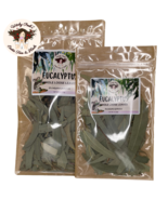 Witchy Pooh&#39;s Eucalyptus -Whole Loose Leaves - €12,24 EUR+