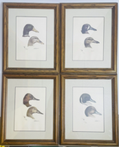 Al Dornisch Duck Heads Ltd Ed Prints Set Of 4 337/950 Signed 1970s Vtg Waterfowl - £183.98 GBP